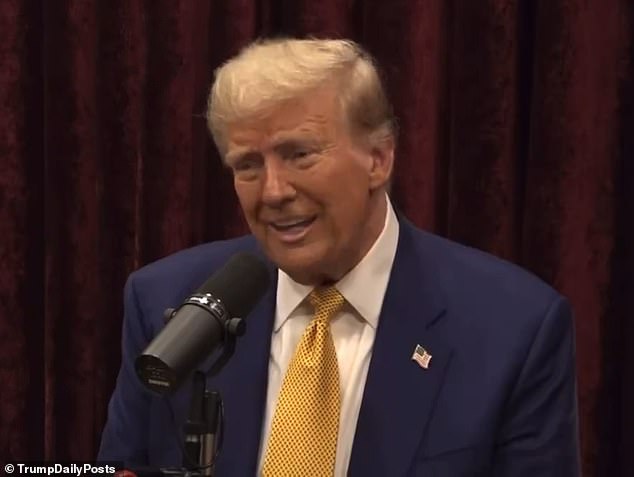 Liberals urged Harris to sit down with Rogan after it emerged that Trump's interview with the podcaster racked up a staggering 17 million views on YouTube in less than 24 hours. Donald Trump is pictured during his appearance at The Joe Rogan Experience