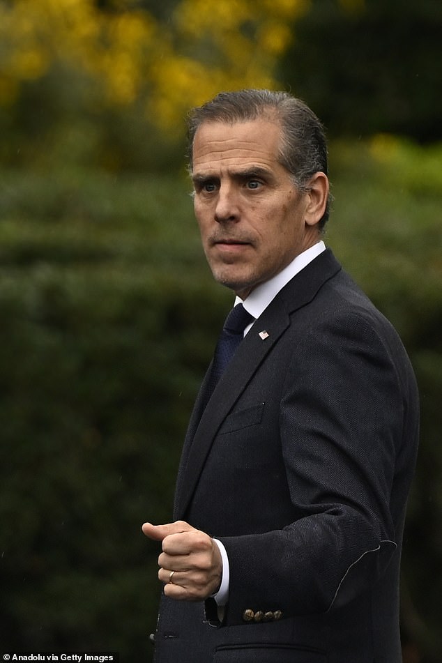 The whistleblowers said they have been punished for speaking out about the IRS's treatment of Hunter Biden.