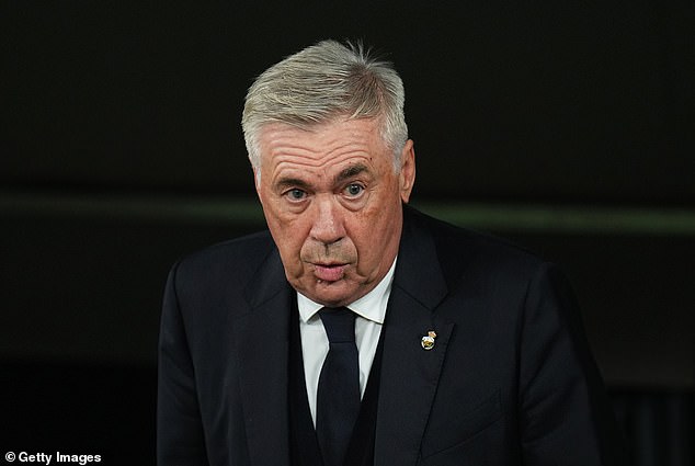 Carlo Ancelotti would have brought tranquility and coherence to the club