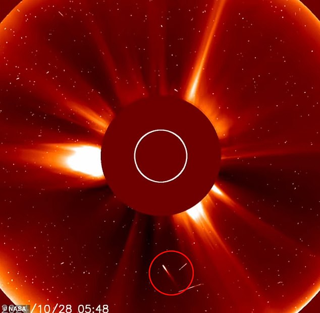 The comet, known as a sungrazer, followed a straight path toward Earth's star and vaporized in the fiery orbit.