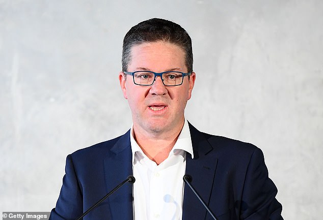 AFL Players' Association boss Paul Marsh (pictured) revealed the development while criticizing the league for its murky stance on sanctions for shocking off-field behaviour.