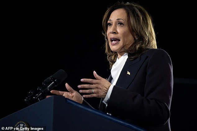 United States Vice President and Democratic presidential candidate Kamala Harris speaks at The Ellipse, just south of the White House in Washington, DC, on October 29, 2024.