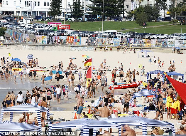 Amanda has lived in Bondi Beach for 25 years. Beautiful women in bikinis and gorgeous bare-chested surfers are just one side of the coin (archive image)