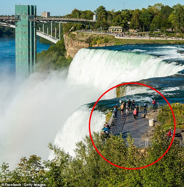 It is understood that Means, along with his two children, crossed the 'safety guild railing' on Luna Island at around 9pm on Monday night (file image of railing)