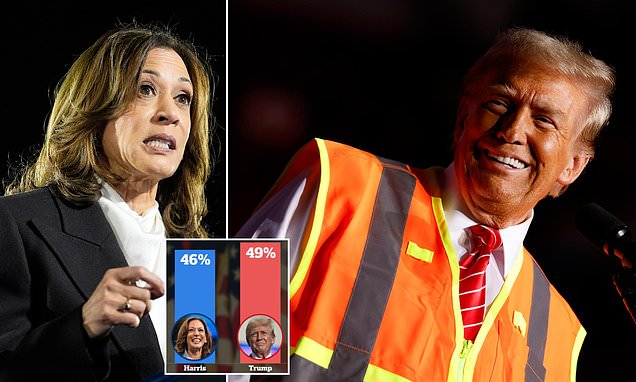 1730375614 82 Presidential election odds live updates Kamala Harris falls behind Trump