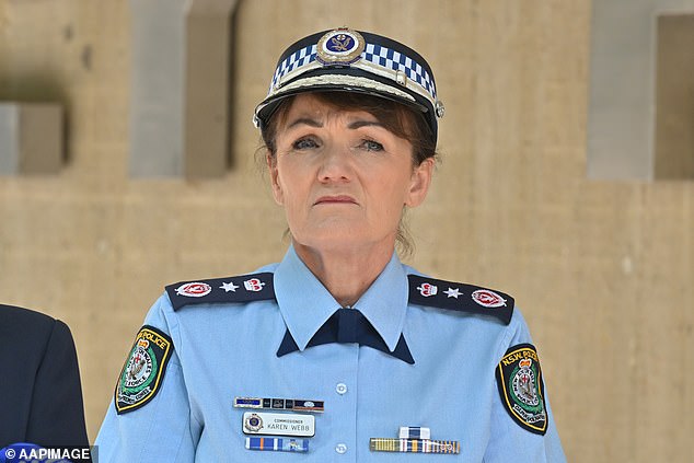 NSW Police Commissioner Karen Webb (pictured) said: 