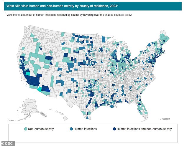 As of 2024, West Nile has been detected in humans in 46 states.