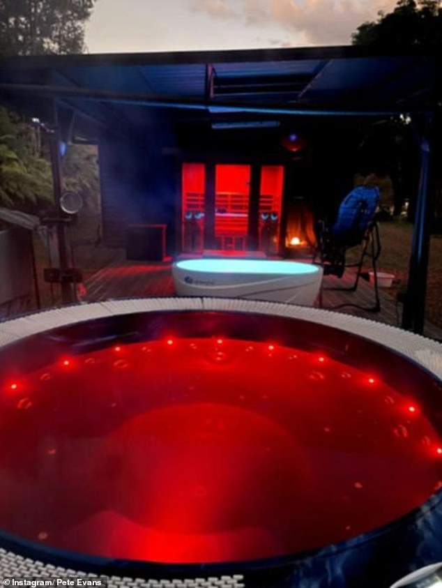 The getaway, which has received five-star reviews from tourists, includes luxurious amenities including an infrared spa (pictured), a magnesium pool, an ice bath and a hot tub.