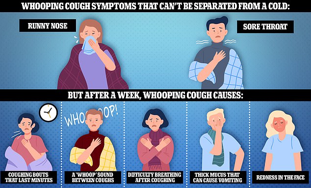 Health officials warned that it is initially difficult to differentiate the infection from a cold, as the first signs are a runny nose and sore throat. But about a week later, patients may develop coughing fits that last minutes, have difficulty breathing after coughing, and make a coughing sound. 