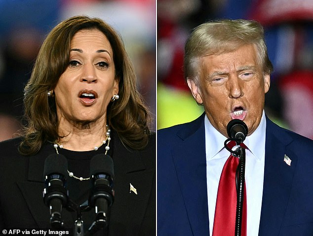 Vice President Kamala Harris and former President Donald Trump are locked in a tight race