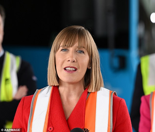 Transport Minister Jo Haylen is behind the move to legalize electric scooters and said it would be a 