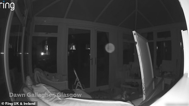 Dawn Gallagher, who shared the video from her home in Glasgow, says she noticed the activity after the mysterious orb triggered the camera's motion notification.