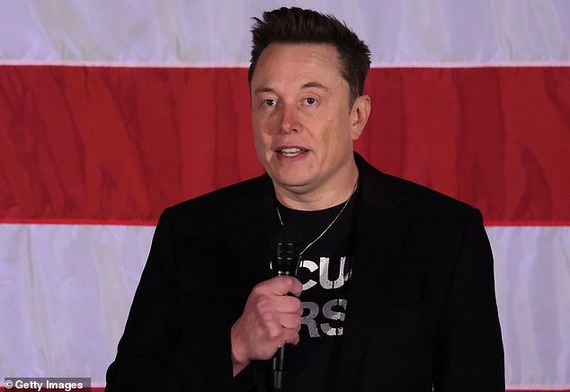 Rinehart says Elon Musk proved that social media platforms can defeat the scourge of fraudulent celebrity ads after the billionaire removed thousands of dubious Twitter profiles.