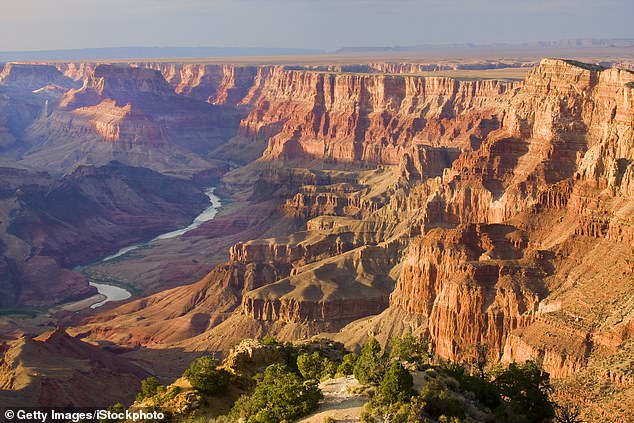 Pictured: The Grand Canyon, which is a three-hour drive from Petrified Forest National Park.