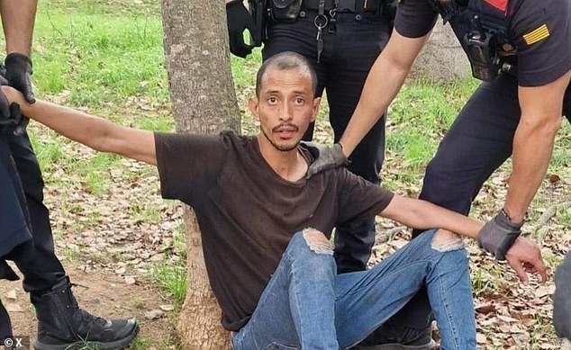 The 31-year-old man, an Ecuadorian national, allegedly assaulted two other people over the weekend before being arrested by police on Sunday, local media report.