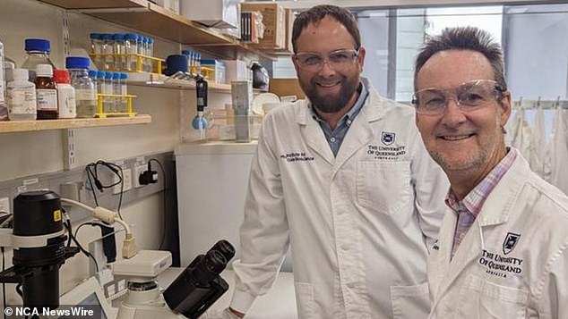 University of Queensland researchers Nathan Palpant and Glenn King are leading the world-first investigation. Image: Supplied