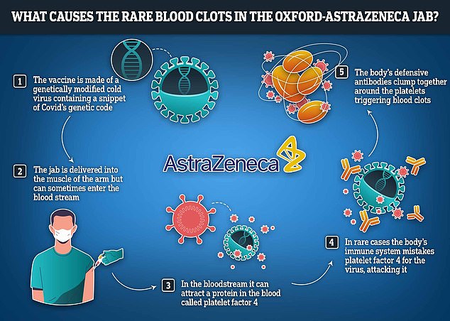 Researchers believe this rare side effect is because the modified cold virus hiding in the injection has an adverse effect on platelets in the blood, causing them to clot.