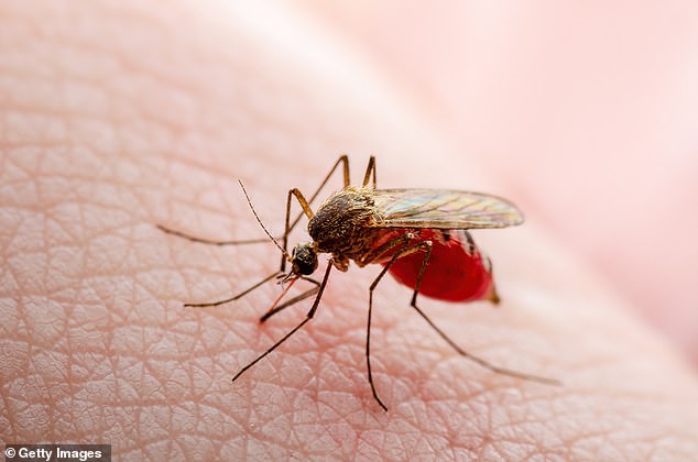 Several Americans have died this year from mosquito-borne diseases such as EEE. EEE is transmitted only through mosquitoes and kills up to one in three patients.