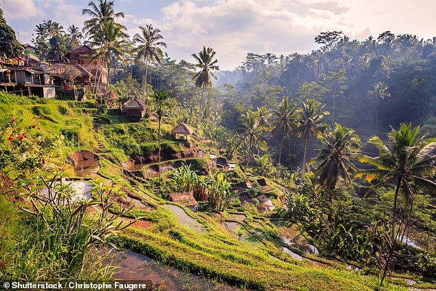 Ubud, in the heart of Bali, is known for its lush beauty and relaxed lifestyle.