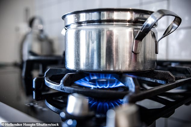 Gas stoves are known to produce high levels of nitrogen dioxide (NO2), which can be harmful to human health, but experts have so far been unable to explain the human cost.