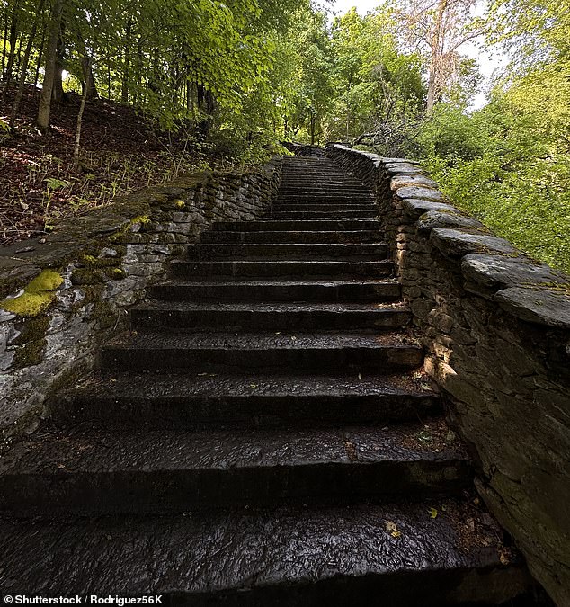 Creepy stairs in Thompson Park