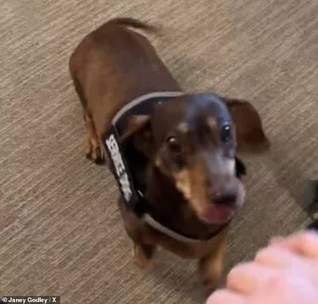 It comes after Janey shared the touching moment she was reunited with her beloved dachshund at the hospice earlier this weekend.