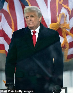 President Donald Trump on the Ellipse on the morning of January 6