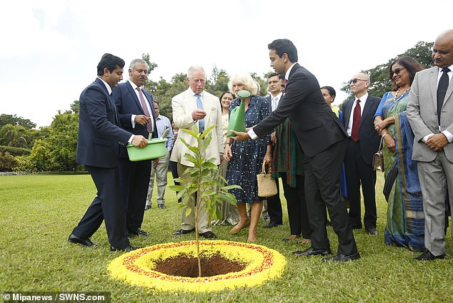 Charles helps plant a tree at the Soykya complex on his 71st birthday in November 2019.