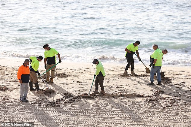 Seven Sydney beaches were closed as the clean-up operation continued.