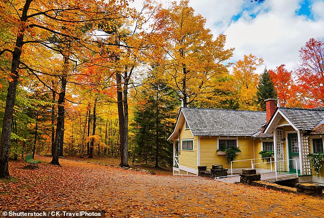 A man claims to have seen Caddick 'limping' at a wedding in Gatineau, Quebec. Pictured: a property in Gatineau.