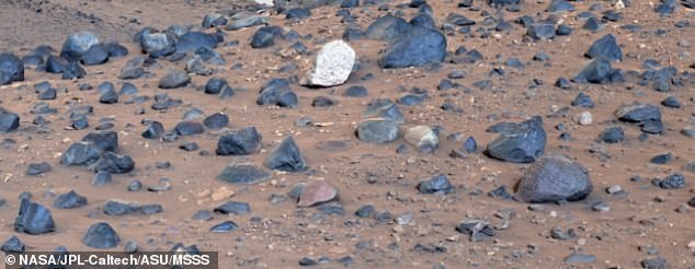 The white, speckled rock, now called 'Atoko Point', stood out amidst this blue-black volcanic basalt where it took NASA's Perseverance team by surprise.