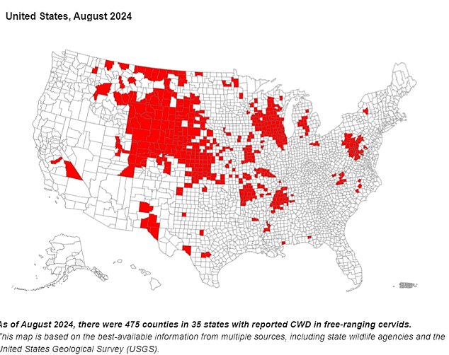 The CDC map above shows counties where CWD has been detected through August 2024, the latest data available. This includes 475 counties in 35 states.