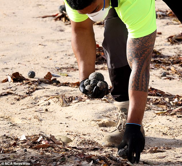 Thousands of balls have washed up on Sydney beaches since their discovery on Tuesday (pictured, council workers are seen cleaning up Coogee Beach on Wednesday).