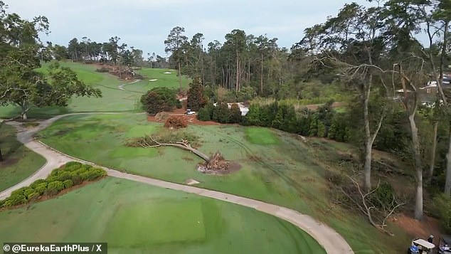 As the drone flies over the legendary Amen Corner, many trees are scattered across the streets.