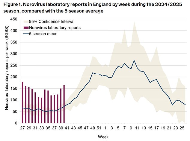 Figures released today by the UK Health Security Agency (UKHSA) revealed that cases of the winter virus increased by 41 per cent in just a fortnight.