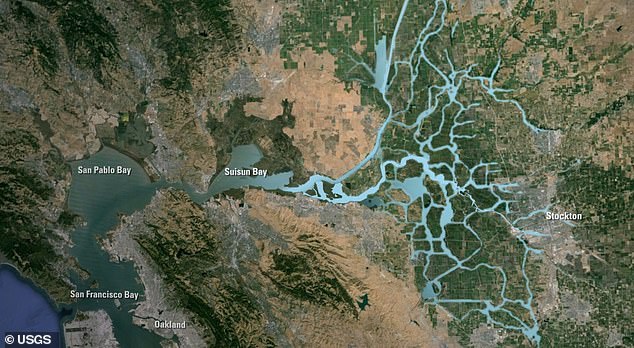 Tides push salt water into the Delta from the Pacific, and fresh water travels into the Delta from the Sacramento and San Joaquin Rivers and then through levee channels into San Pablo Bay, San Francisco Bay, and the Pacific Ocean.