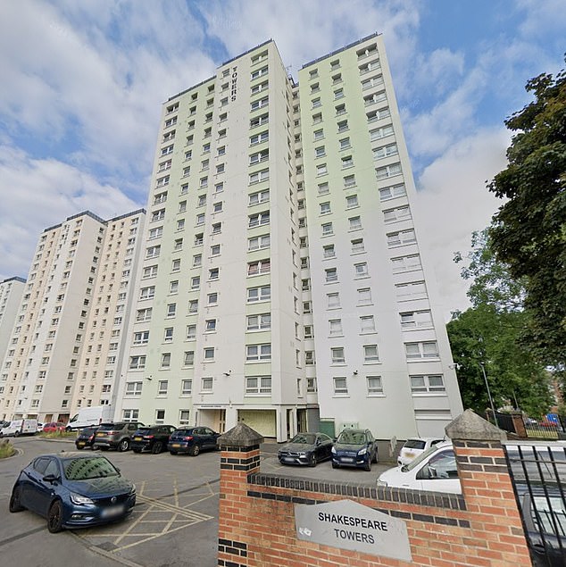 The Shakespeare Towers in Burmantofts, Leeds, which were built in the 1960s, are owned by Leeds City Council and were recently renovated.