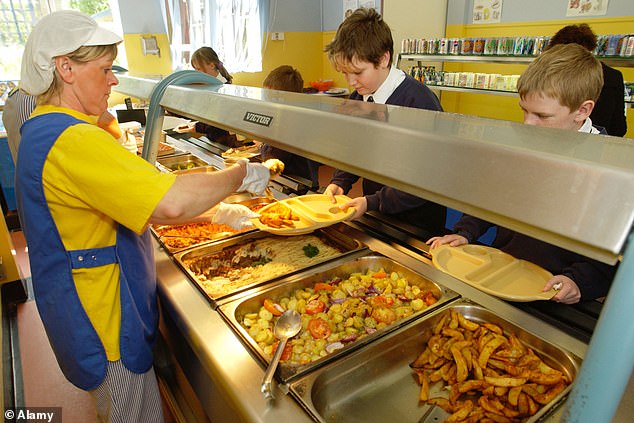 Speaking at the Cheltenham Literature Festival, the King's College London academic urged ministers to remove all ultra-processed foods (UPF) from the school menu.