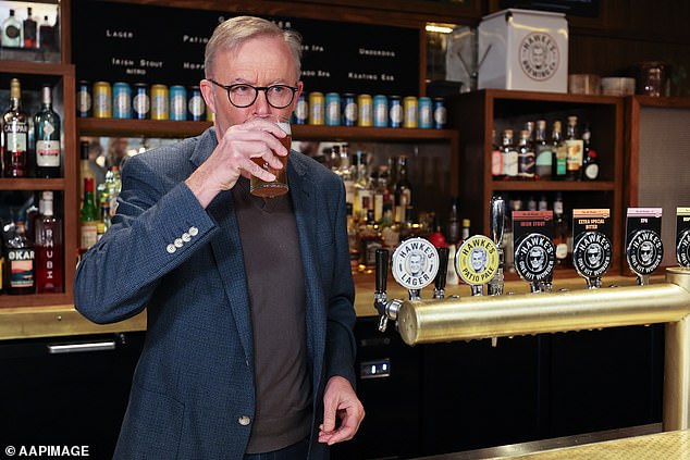 Anthony Albanese has the highest concentration of craft breweries of any federal electorate, but he has turned his back on a once-booming industry grappling with the latest brews.