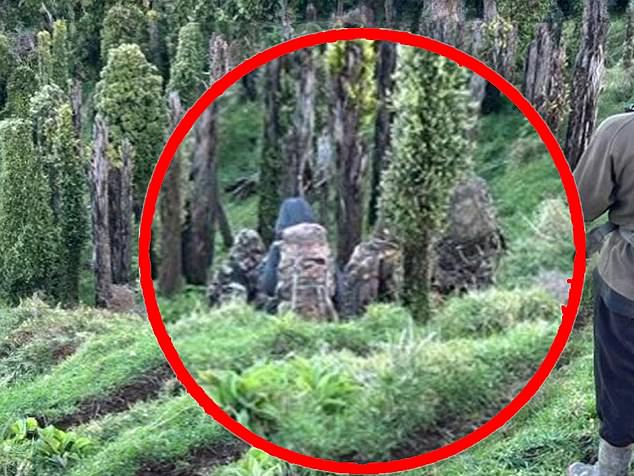 Pictured: The Phillips family walking in the hills surrounding Marokopa on October 3.