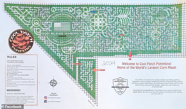 The maze is designed by Cooley's daughter-in-law, Tayler, who says each year it has a different theme.