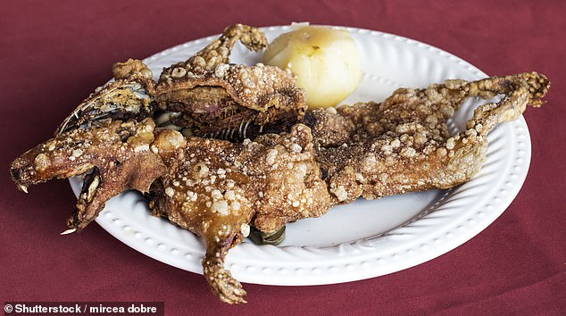 Guinea pig is an important delicacy in Ecuador and Peru, as some intrepid Redditors discovered