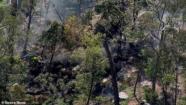 Emergency services were called to Belimbla Park, Oakdale, just before midday on Saturday (a firefighter is pictured at the scene)