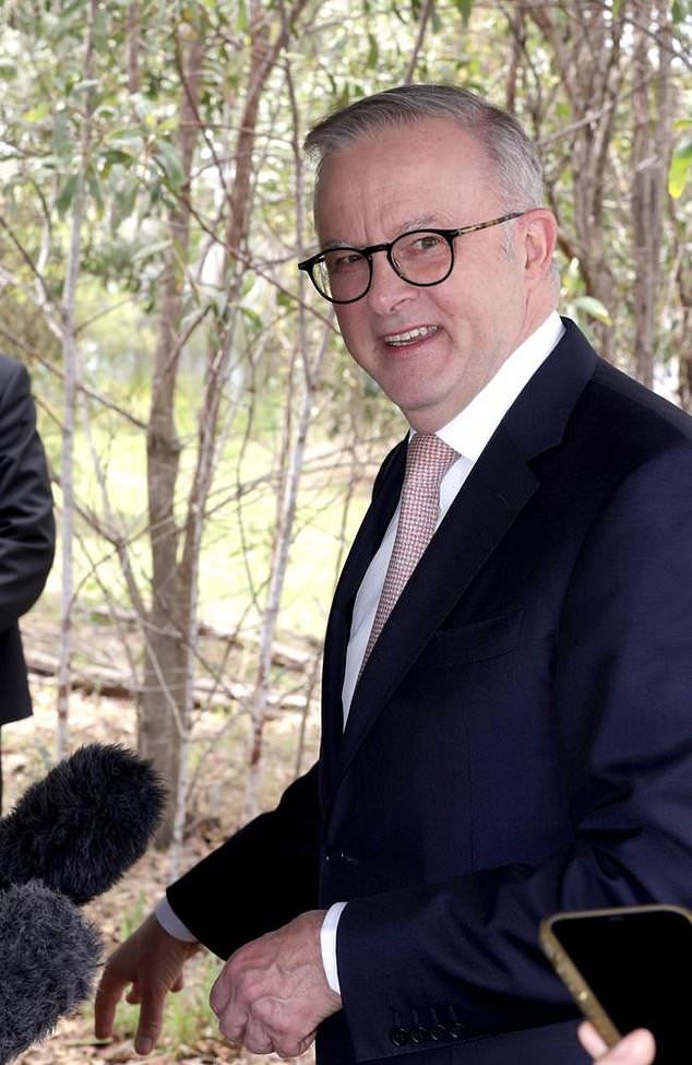 Albanese was criticized for the purchase amid a cost of living crisis.