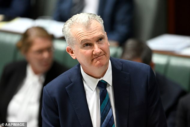 Australian Home Affairs Minister Tony Burke (pictured) personally oversaw Ms Owens' request for a planned tour of her live podcast.