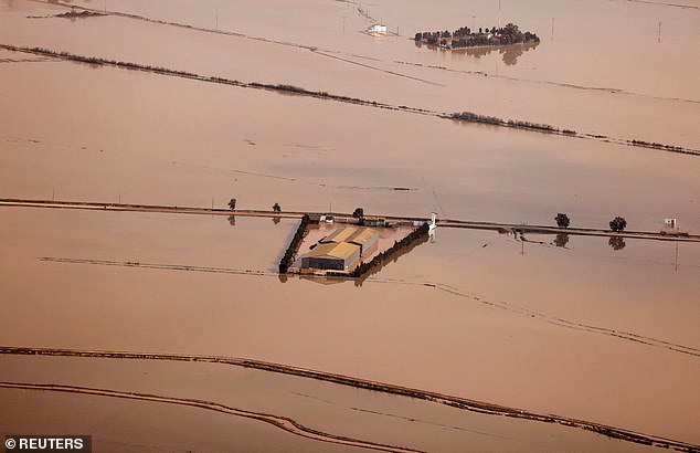 An aerial photograph shows the destroyed rice fields of Albufera in an area affected by heavy rains