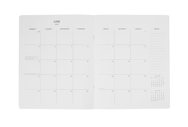 The planner features all the sections you'd expect to find: a yearly overview, a contact page, and spacious squares for jotting down appointments, plans, to-dos, and holidays each month.