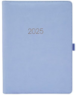 The $12 2025 Weekly/Monthly Planner comes in an on-trend light blue hue.