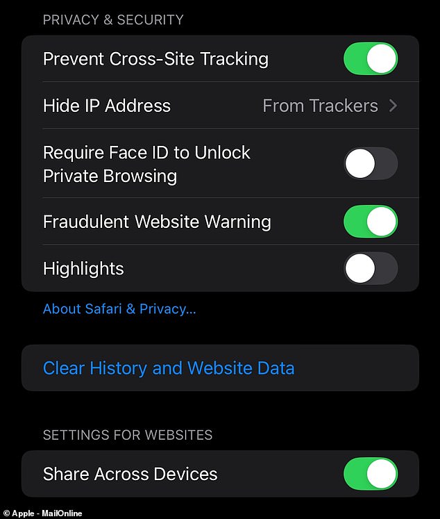 You can clear your browsing data and cache to help limit the chances of app crashing on iPhone. To do this, navigate to the 'Safari' tab in the 'Settings' app and select 'Clear history and website data' (in blue)