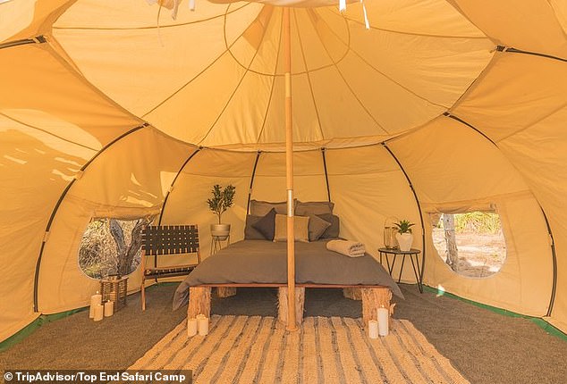 The Wrights also run Top End Safari Camp, 120km south of Darwin, a luxury glamping experience for $895 a night in luxury tents to give tourists a taste of life in the Wright outback.